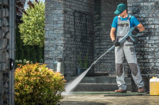 Best Gutter Cleaning and Brightening in Shorewood, MN