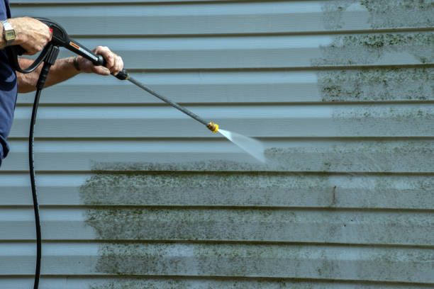 Best Roof Cleaning and Mildew Removal in Shorewood, MN